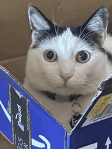 a black and white cat is sitting in a cardboard box that says prime on it