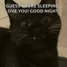 a black cat with vampire teeth says " guess youre sleeping love you ! good night ! "