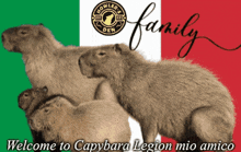 three capybaras are standing in front of an italian flag and the words family welcome to capybara legion mio amico