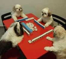 four dogs sit at a table playing a game of mahjong