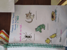 a drawing of a mouse frog ant and chicken is in a spiral notebook