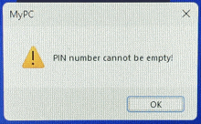 a computer screen displays a warning that the pin number cannot be empty