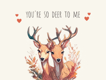 two deer standing next to each other with the words you 're so deer to me