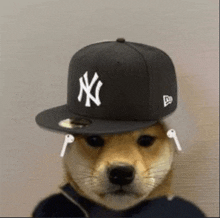 a dog wearing a ny yankees hat and headphones .