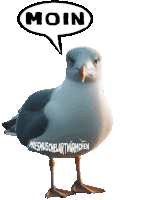 a seagull with a speech bubble saying moin