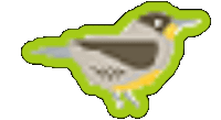 a cartoon drawing of a bird with a green outline