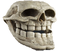 a close up of a skull with teeth and a smile on it .