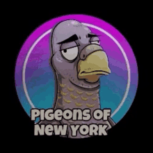 a cartoon pigeon with the words pigeons of new york written on it