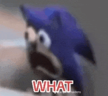 a cartoon of sonic the hedgehog with a surprised look on his face and the words `` what '' .