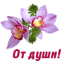 a purple flower with the words " от душн " written below it