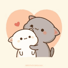 a gray and white cat hugging each other in front of a heart .