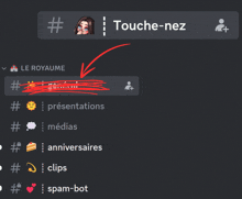 a screenshot of a website with the word touche-nez on the top