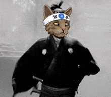 a cat wearing a headband that says ' samurai ' on it