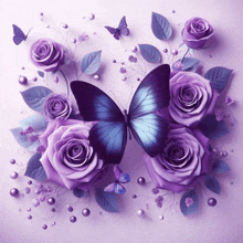 a blue butterfly is surrounded by purple roses on a purple background