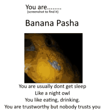 a picture of a yellow parrot with the words " you are banana pasha "