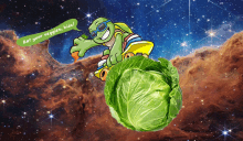 a picture of a turtle riding a cabbage with a speech bubble that says " eat your veggies kids "