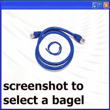 a screenshot to select a bagel is shown on a computer screen