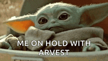 a baby yoda is sitting in a bucket with the words `` me on hold with arvest '' written on the bottom .