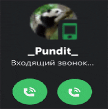 a phone screen with the name pundit and a picture of a panda bear