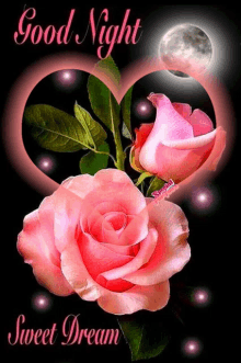 a picture of two pink roses with the words good night sweet dream