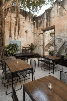 a restaurant with tables and chairs under a tree .