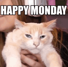 a woman is holding a cat with the words happy monday written on it