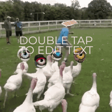 a group of turkeys are standing in a field with a double tap to edit text written above them