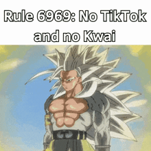 a picture of a cartoon character with the words rule 6969 no tiktok and no kwai