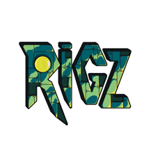 a logo for a company called rigz has a camouflage pattern on it