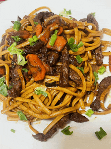 a plate of noodles with meat and vegetables on a table