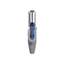 the inside of a dental implant with a blue screw in it