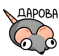 a cartoon drawing of a rat with the word darova written above it