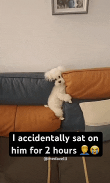 a small white dog is sitting on a couch with a caption that says i accidentally sat on him for 2 hours