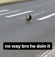 a picture of a chicken crossing a road with a caption that says no way bro he doin it