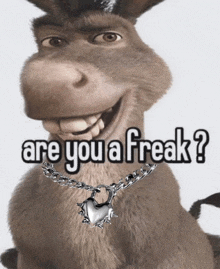 a donkey wearing a necklace that says are you a freak on it