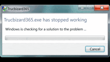 a window that says " trucbizard365.exe has stopped working "