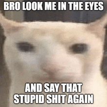 a white cat is crying and says bro look me in the eyes and say that stupid shit again .