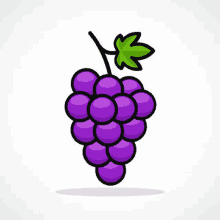 a bunch of purple grapes with a green leaf on a white background