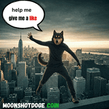 a man with a dog 's head is jumping over a city with a speech bubble saying help me