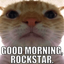 a close up of a cat with the words good morning rockstar