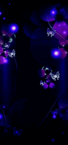 a black background with purple butterflies and flowers