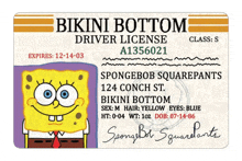 a bikini bottom driver license with spongebob squarepants written on it