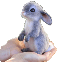 a person is holding a stuffed rabbit with a label that says deraevost on it