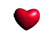 a red heart on a white background with a shadow .