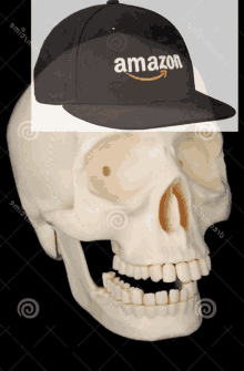 a skull with an amazon hat on top