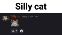 a picture of a cat with the words silly cat written above it