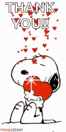 a cartoon of snoopy holding a red heart and saying thank you .