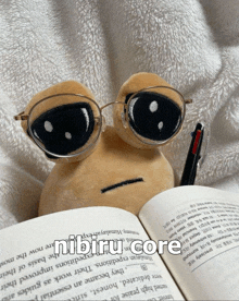 a stuffed animal wearing glasses sits on top of an open book that says nibiru core on it