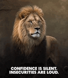 a lion is standing in the dark with a quote that says `` confidence is silent , insecurities are loud . ''