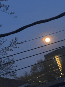 a full moon is visible behind a telephone line